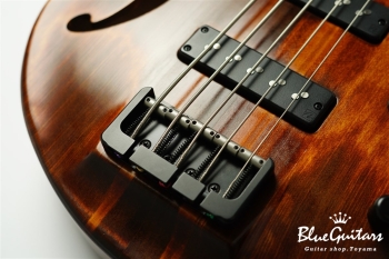 TEMPESTA 5st. Fretless - Organic Texture