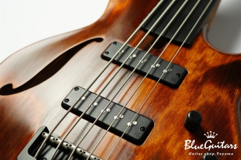 TEMPESTA 5st. Fretless - Organic Texture