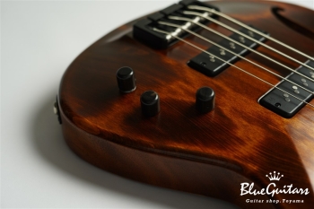 TEMPESTA 5st. Fretless - Organic Texture