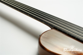 TEMPESTA 5st. Fretless - Organic Texture