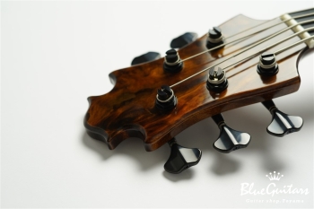 TEMPESTA 5st. Fretless - Organic Texture