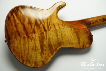 TEMPESTA 5st. Fretless - Organic Texture