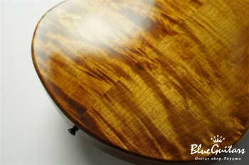 TEMPESTA 5st. Fretless - Organic Texture