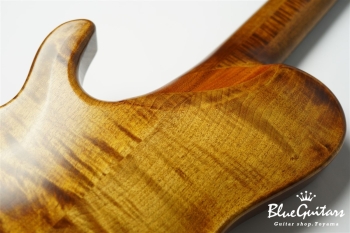 TEMPESTA 5st. Fretless - Organic Texture