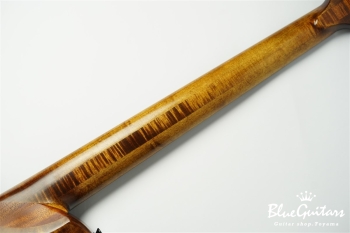 TEMPESTA 5st. Fretless - Organic Texture