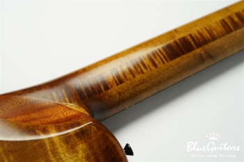 TEMPESTA 5st. Fretless - Organic Texture