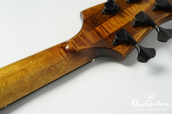 TEMPESTA 5st. Fretless - Organic Texture
