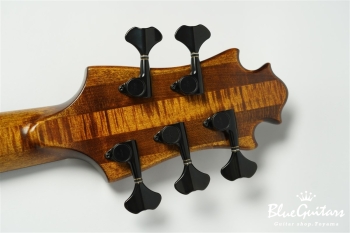 TEMPESTA 5st. Fretless - Organic Texture