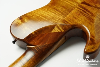TEMPESTA 5st. Fretless - Organic Texture