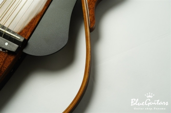 SLG200S - Tobacco Brown Sunburst