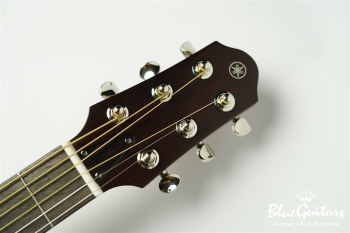 SLG200S - Tobacco Brown Sunburst