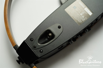 SLG200S - Tobacco Brown Sunburst