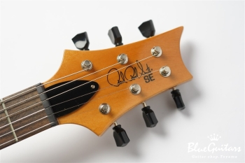 SE Paul’s Guitar - Faded Blue Burst