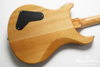 SE Paul’s Guitar - Faded Blue Burst