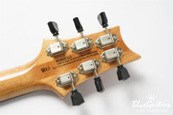 SE Paul’s Guitar - Faded Blue Burst