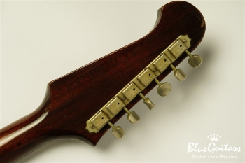 1965年製 Firebird Non Reverse - Sunburst