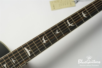 SE P20E - Satin Black Top