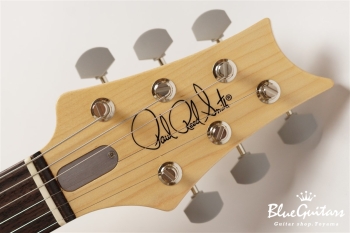  SILVER SKY - Midnight Rose