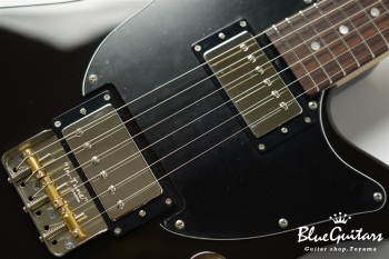 Shaker L.W.Ash2P/R Black…Brown?