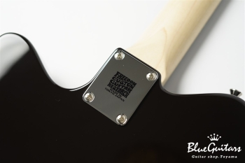 Shaker L.W.Ash2P/R Black…Brown?