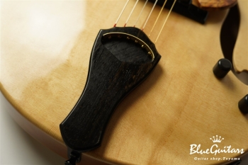 Arcus Archtop - Nature