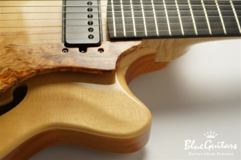 Arcus Archtop - Nature