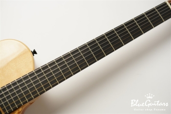 Arcus Archtop - Nature