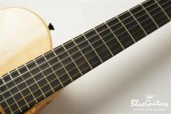 Arcus Archtop - Nature