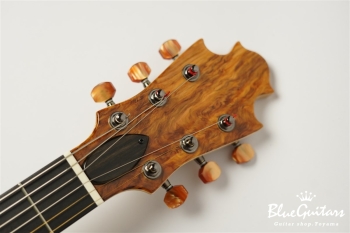 Arcus Archtop - Nature
