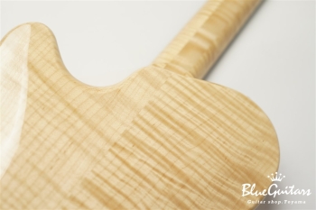 Arcus Archtop - Nature