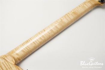 Arcus Archtop - Nature