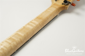 Arcus Archtop - Nature