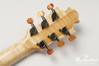 Arcus Archtop - Nature