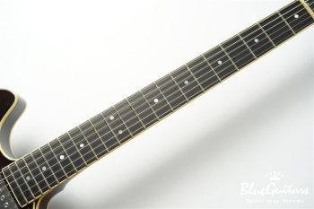 SA1200-S - Vintage Sunburst