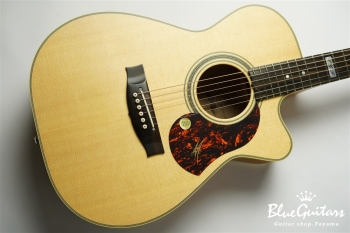 EBG808CTE -Tommy Emmanuel Signature-