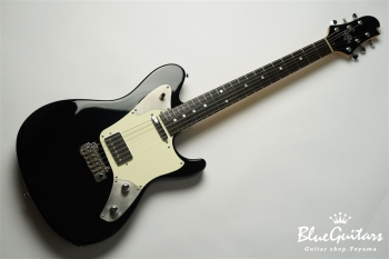 DS499R ASH/AT - DOBB