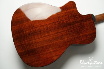 OM-260CE DELUXE BLACKWOOD - Natural