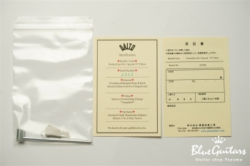 Portrait Line No.1 Special / TV Yellow #2 044