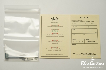 Portrait Line No.1 Special / TV Yellow #2 045