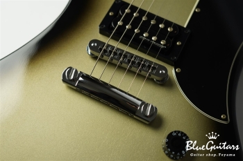 Guitar Of The Week #48 RD Standard - Silver Burst