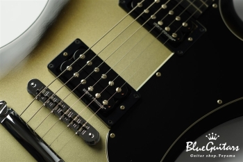 Guitar Of The Week #48 RD Standard - Silver Burst