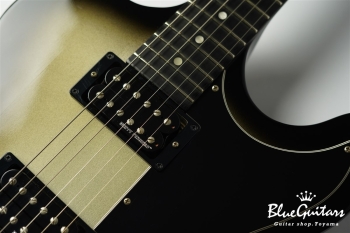 Guitar Of The Week #48 RD Standard - Silver Burst