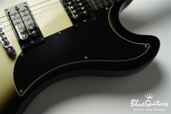 Guitar Of The Week #48 RD Standard - Silver Burst