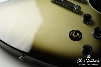 Guitar Of The Week #48 RD Standard - Silver Burst