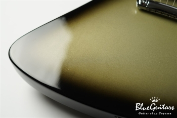 Guitar Of The Week #48 RD Standard - Silver Burst