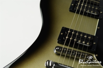 Guitar Of The Week #48 RD Standard - Silver Burst