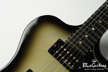 Guitar Of The Week #48 RD Standard - Silver Burst