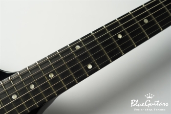 Guitar Of The Week #48 RD Standard - Silver Burst