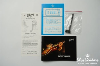 Guitar Of The Week #48 RD Standard - Silver Burst