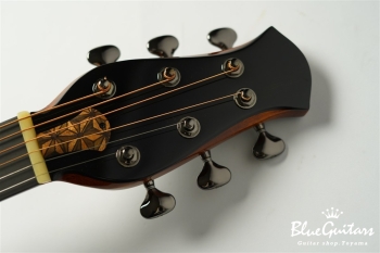 aNN-LS700 Design by Luthier Sugita Kenji